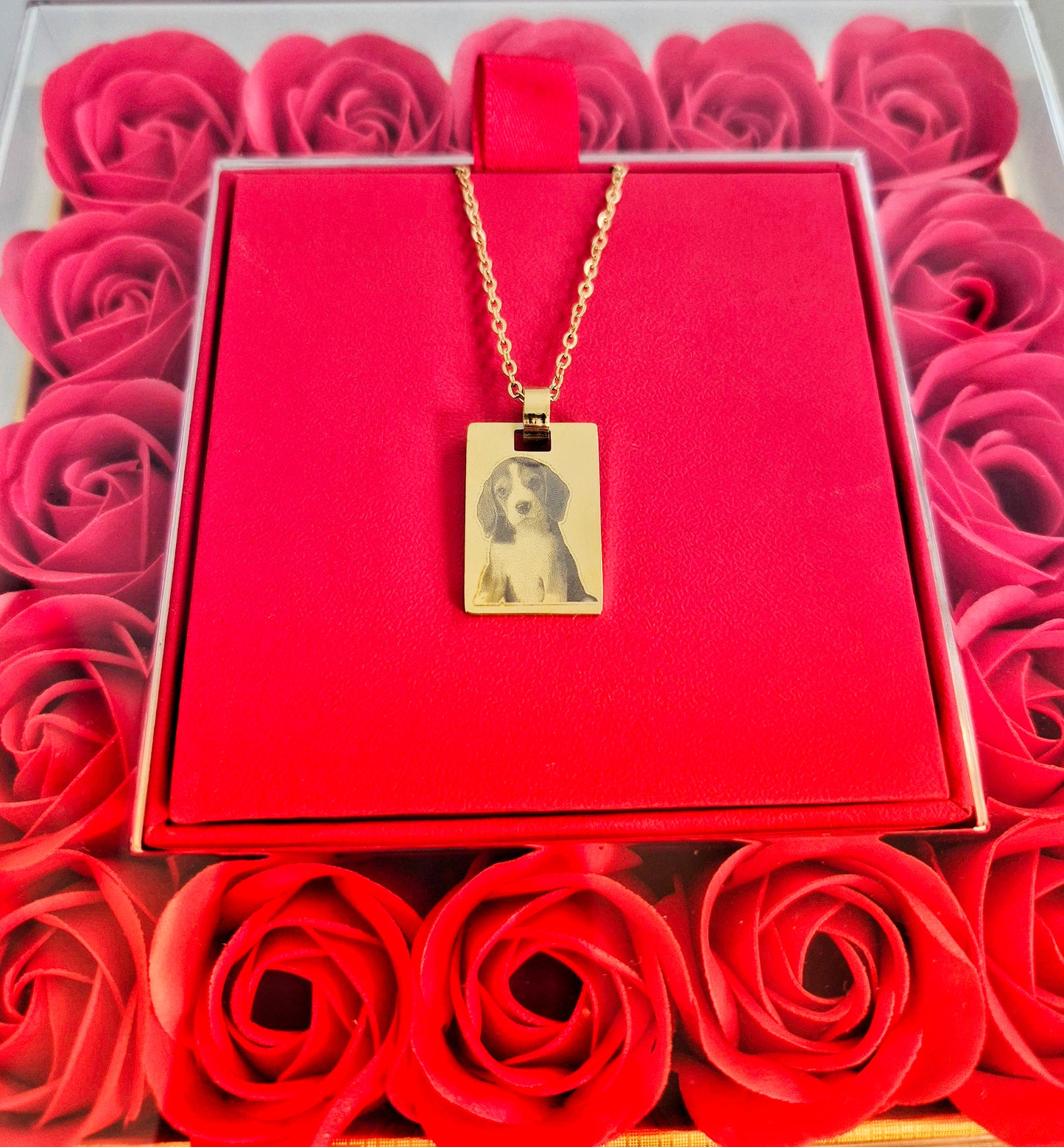 Collana Amico a 4 Zampe