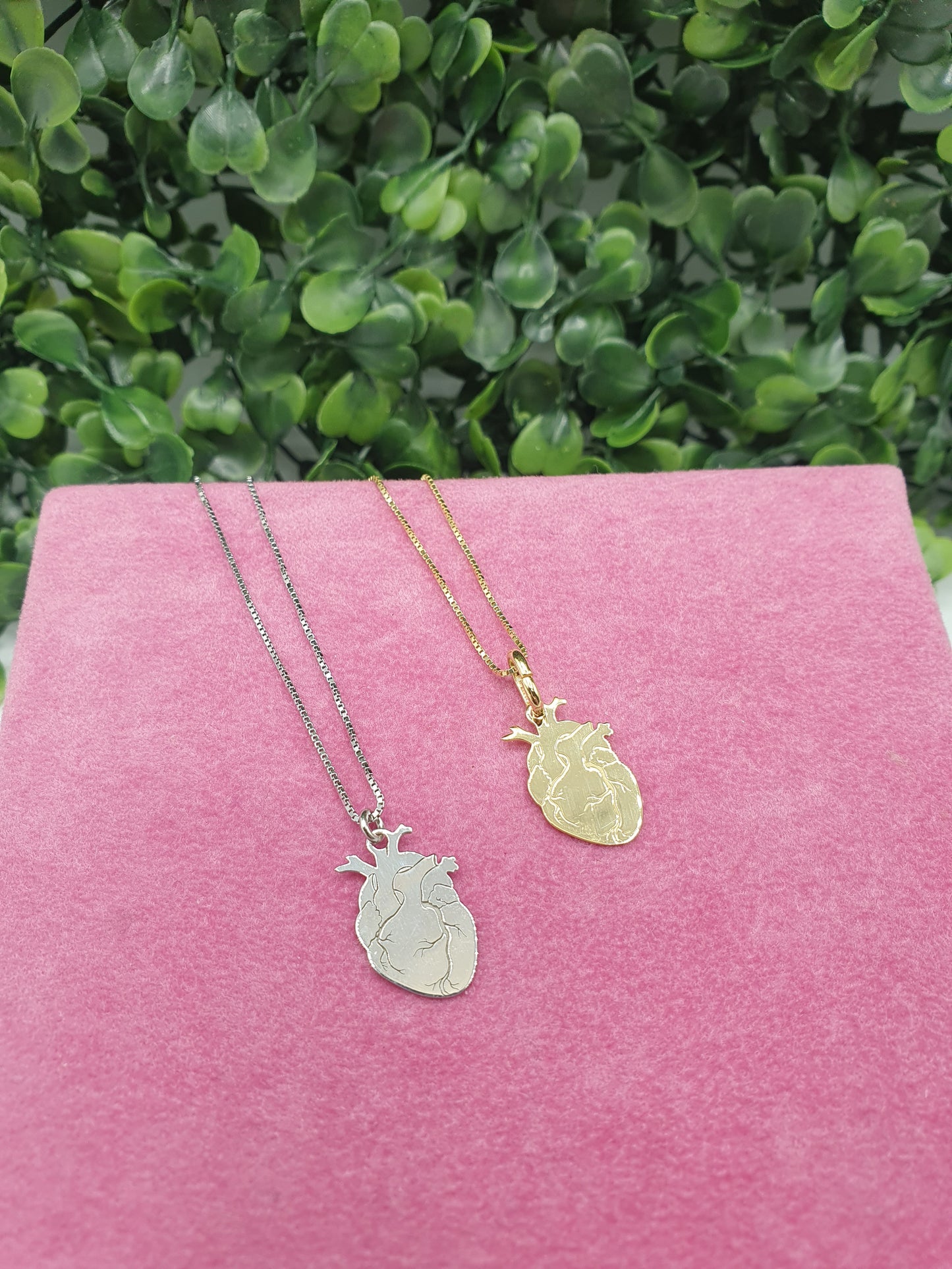 Collana Cuore Anatomico