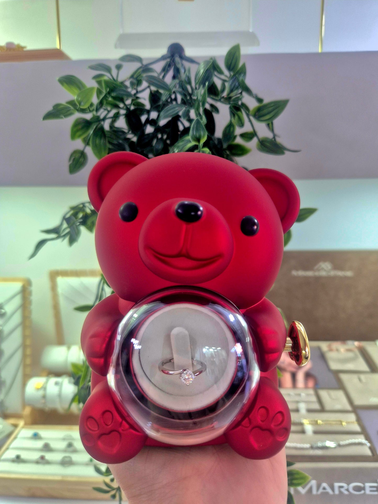 Box Teddy Anello Solitario